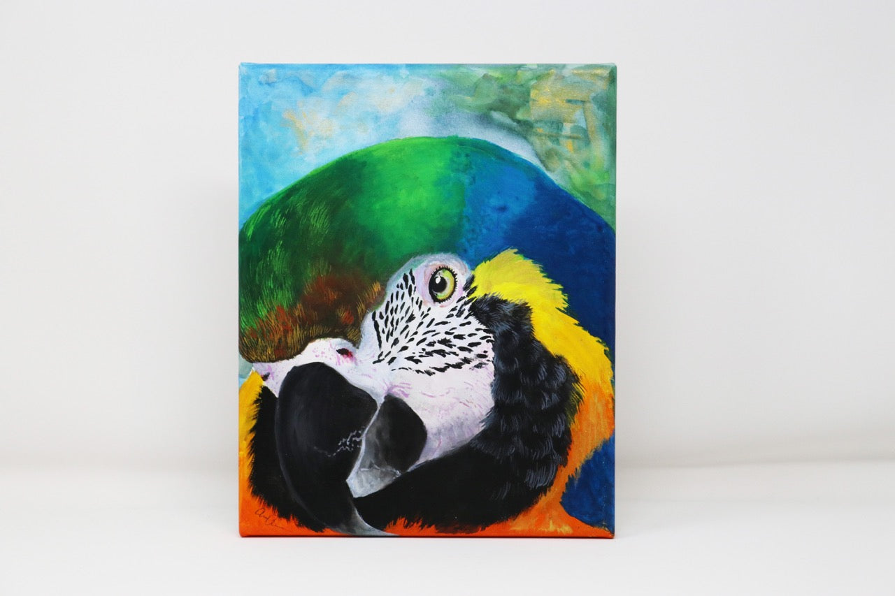 Amanda Bolduc - Macaw
