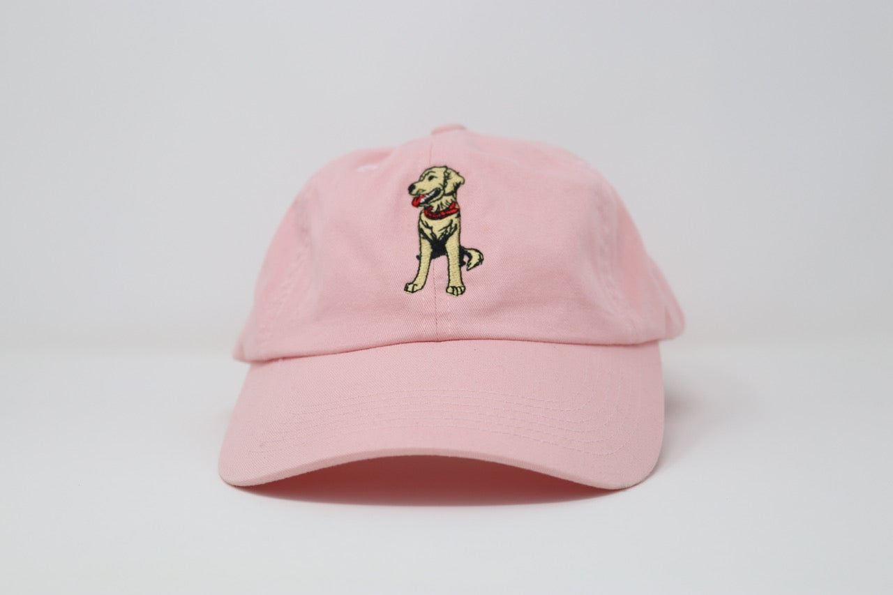 Sublime Vizions - Goose Hat