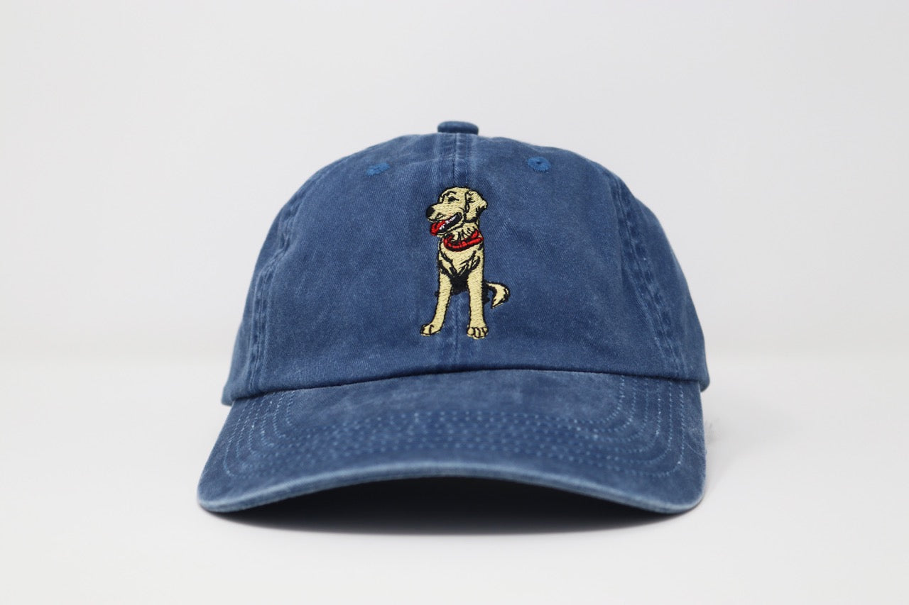 Sublime Vizions - Goose Hat
