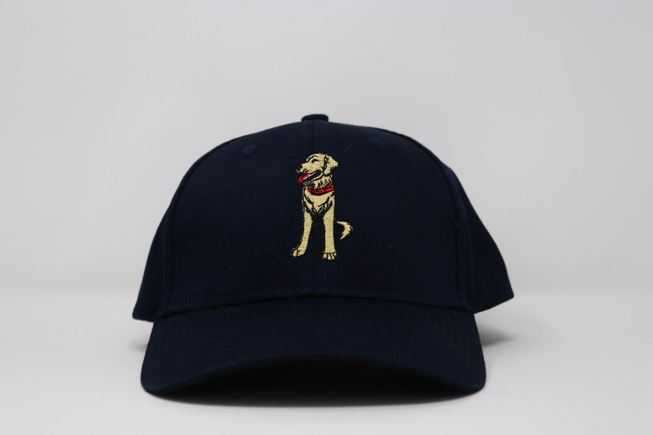Sublime Vizions - Goose Hat