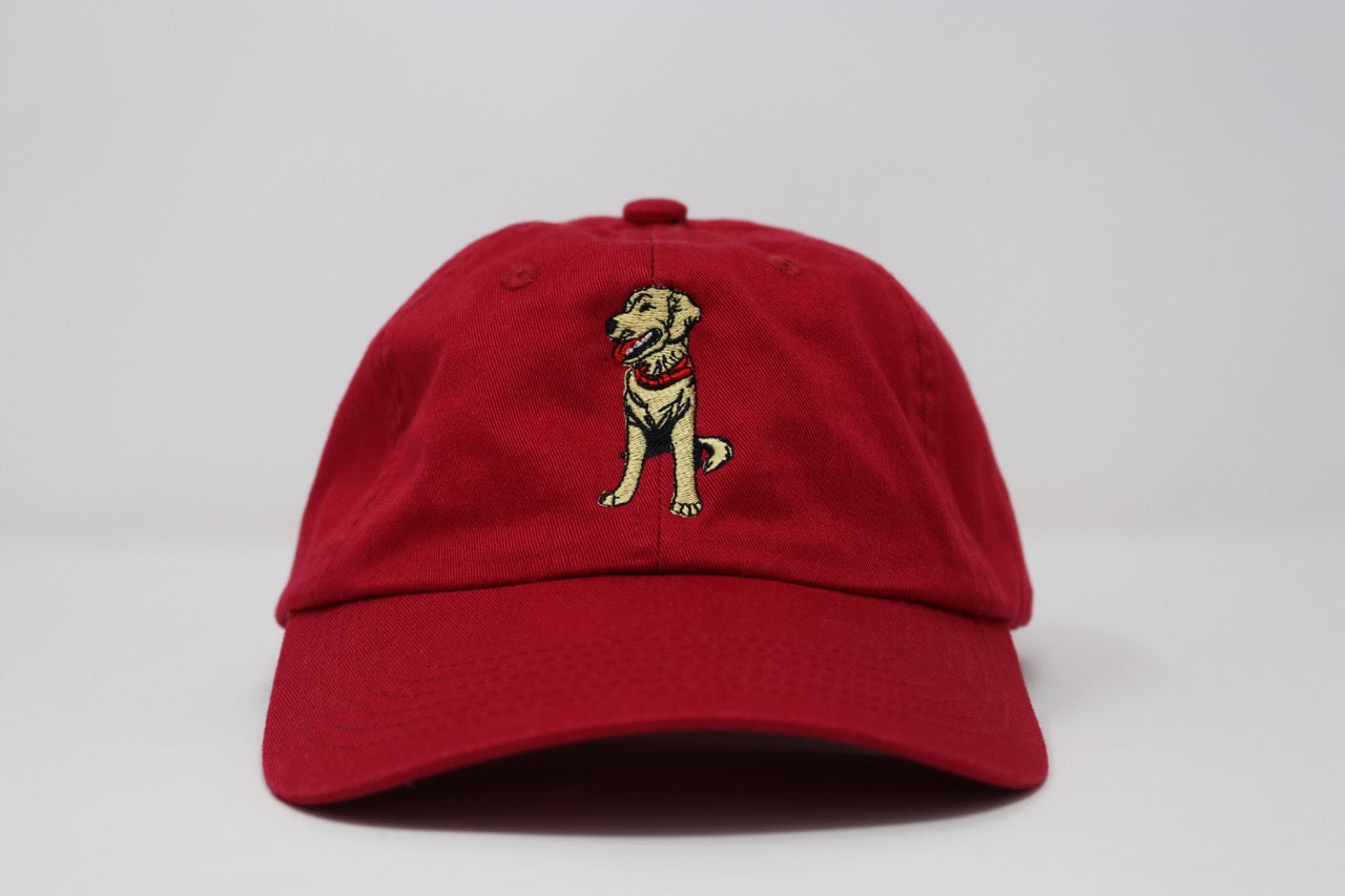 Sublime Vizions - Goose Hat