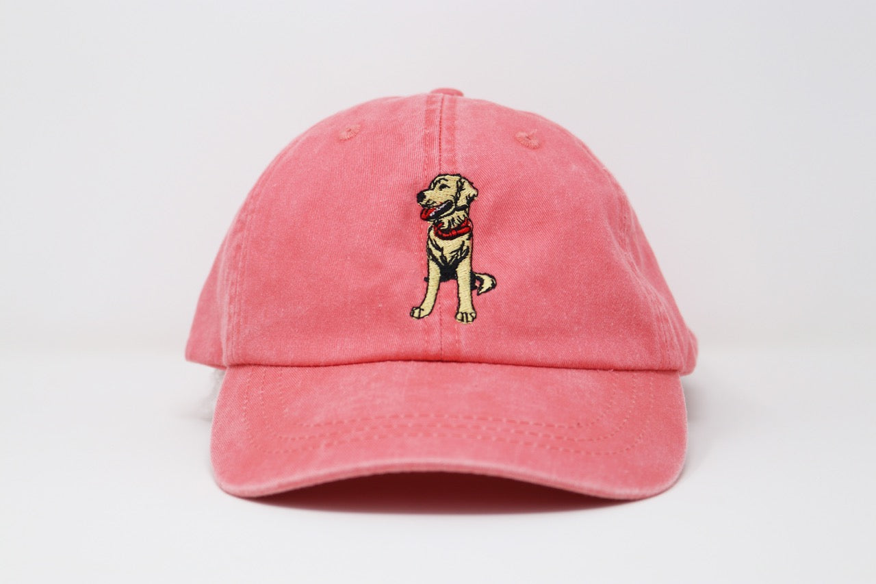 Sublime Vizions - Goose Hat