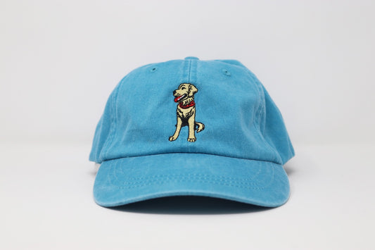 Sublime Vizions - Goose Hat